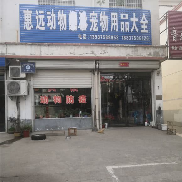 惠远动物宠物用品大全:平顶山市宝丰县