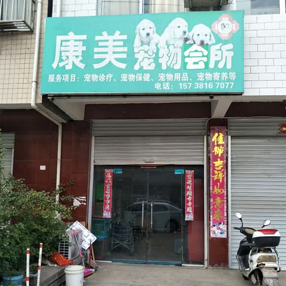 康美狗狗会所:平顶山市叶县