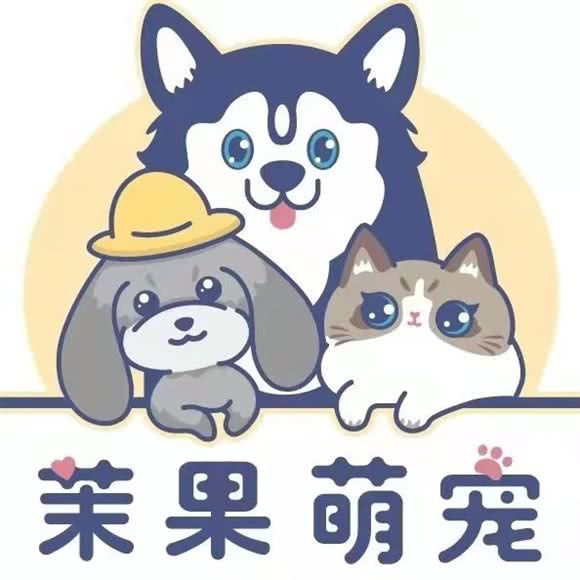 茉果萌宠:北京城区东城区沙子口附近