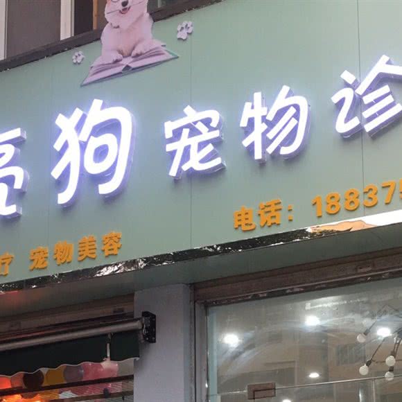 漂亮狗宠物诊疗:平顶山市鲁山县