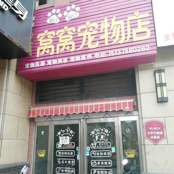 窝窝宠物店(华联广场店):平顶山市郏县