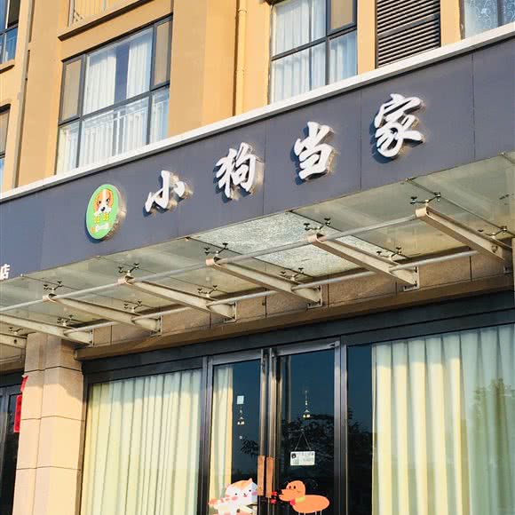 旺旺小狗当家:平顶山市舞钢市