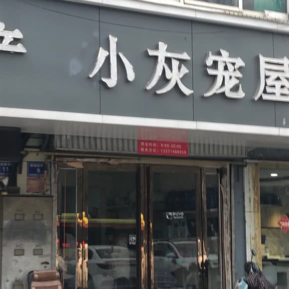 小灰宠屋:平顶山市舞钢市