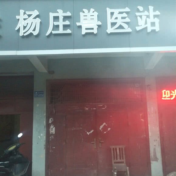 杨庄兽医站:平顶山市舞钢市