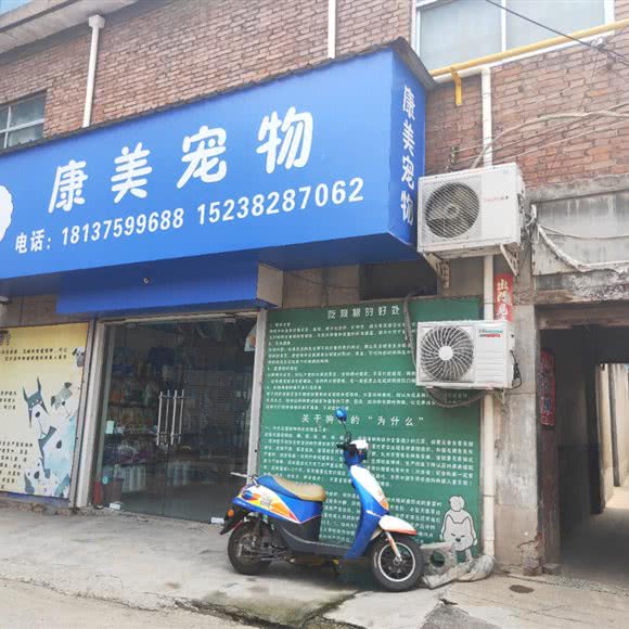 康美宠物:平顶山市汝州市