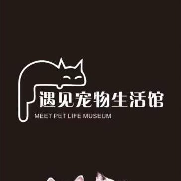 遇见宠物狗-木森堂专业猫咪洗护:安阳市文峰区