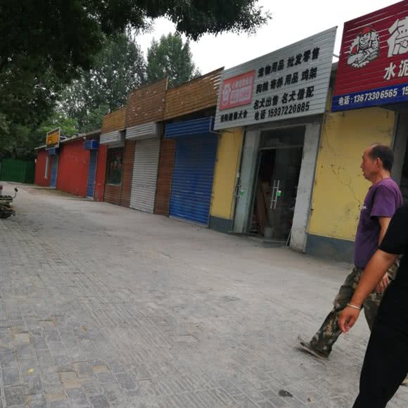 安阳建德犬舍:安阳市龙安区