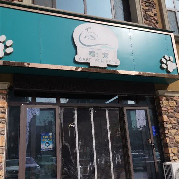 嘿宠:安阳市安阳县