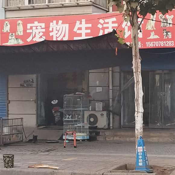 宠物生活馆:安阳市安阳县