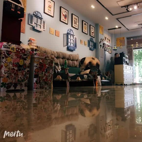 Mr.Wu.kittf宠物猫店:安阳市汤阴县