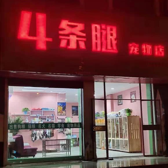 4条腿宠物店(荣城店):安阳市汤阴县