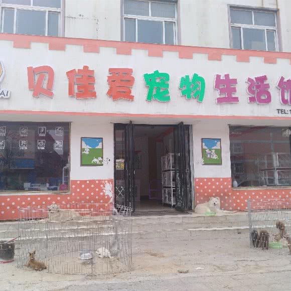 贝佳爱宠物生活馆:安阳市汤阴县