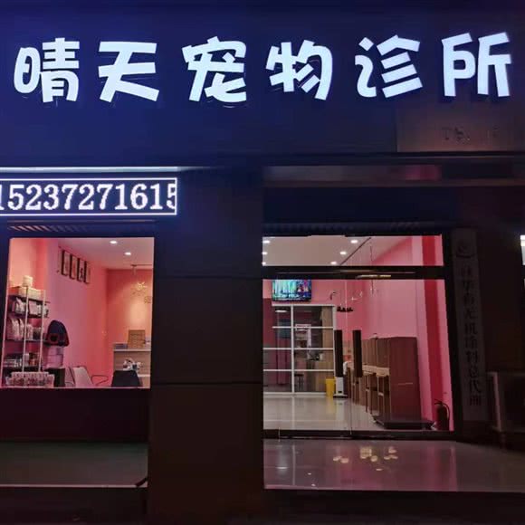 晴天宠物诊所:安阳市汤阴县