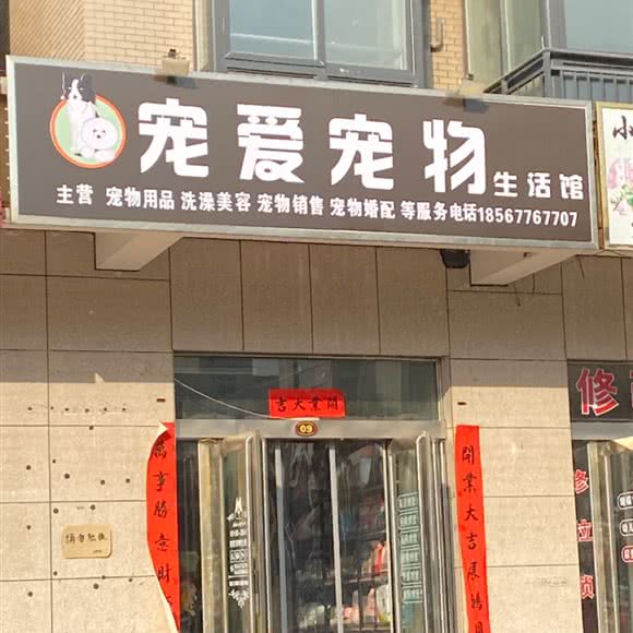 宠爱宠物生活馆:安阳市滑县