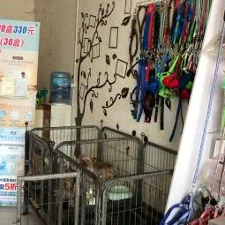 派多格宠物(滑县店):安阳市滑县