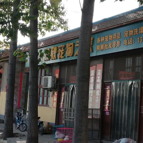秋秋宠物之家:安阳市滑县