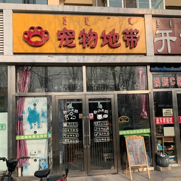 宠物地带:包头市青山区南市场附近