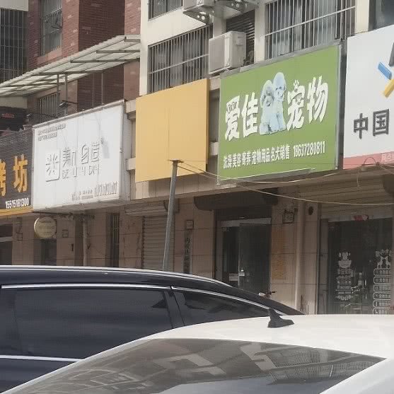 爱佳宠物生活馆:安阳市内黄县
