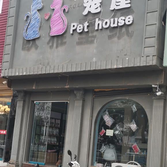 宠屋:安阳市林州市