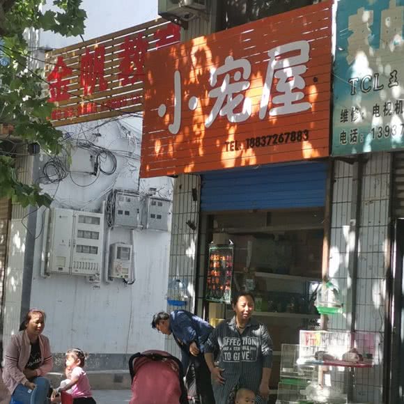 小宠屋:安阳市林州市