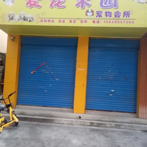 爱宠主题公园:安阳市林州市