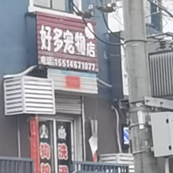 好多宠物店:鹤壁市山城区
