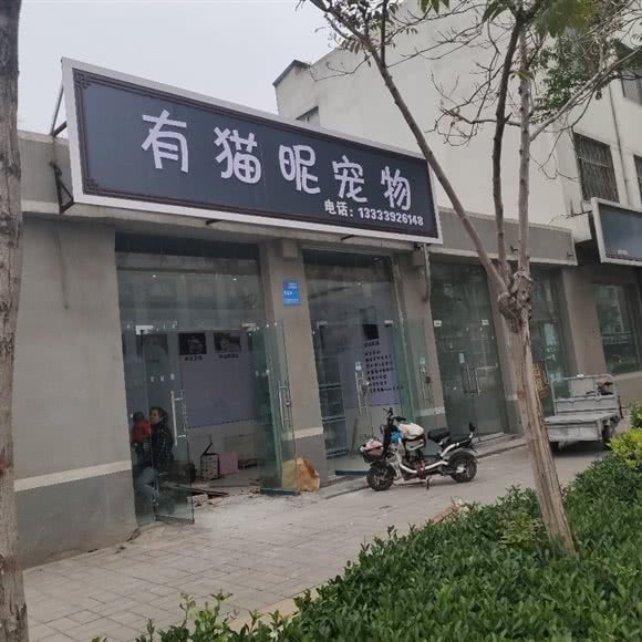 有猫昵宠物:鹤壁市浚县