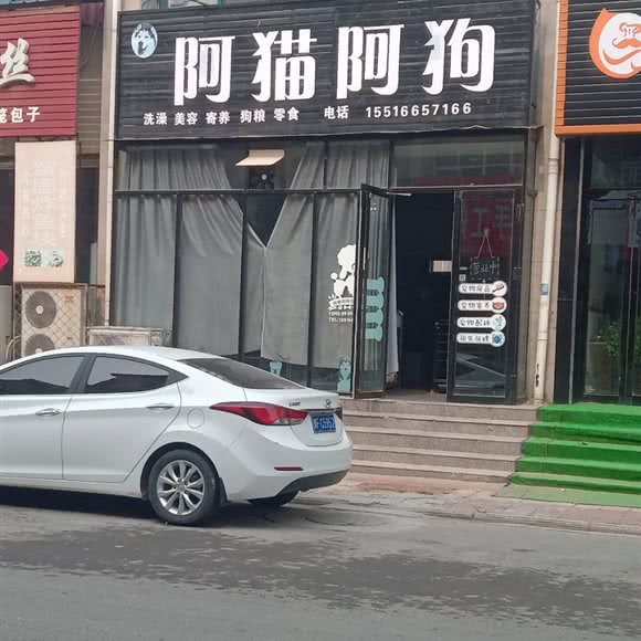 阿猫阿狗:鹤壁市浚县