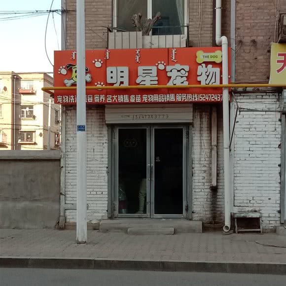 明星宠物:包头市青山区富强路四角附近