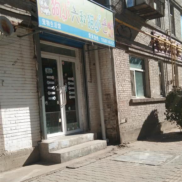 狗小六和猫小七宠物生活馆:包头市青山区富强路四角附近