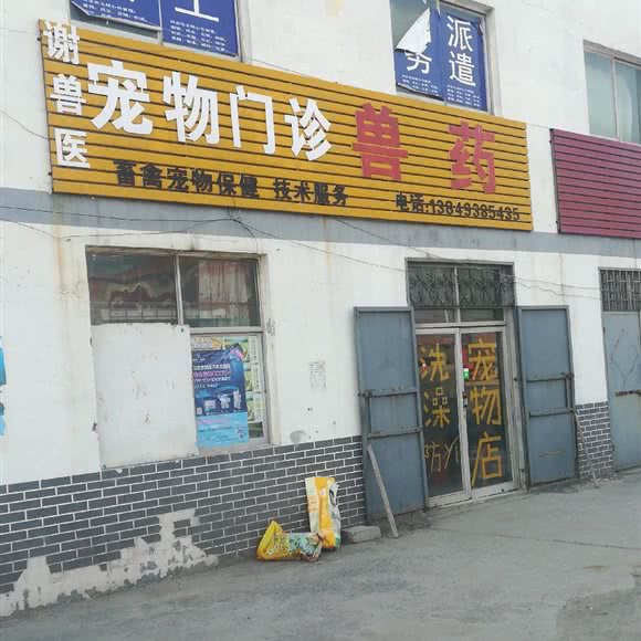 谢兽医宠物门业:新乡市红旗区