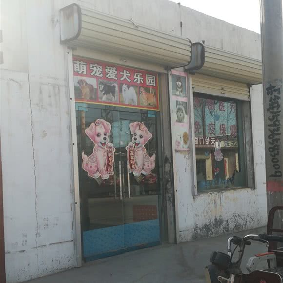 萌宠爱犬乐园:新乡市凤泉区