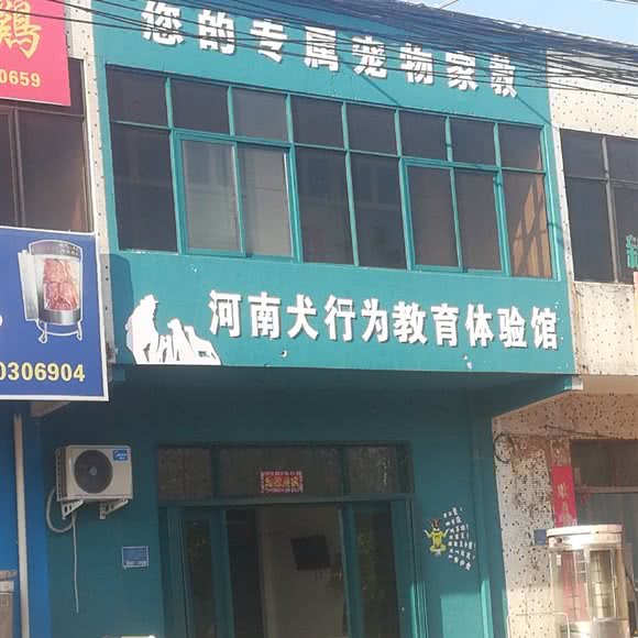 河南犬行为教育体验店:新乡市新乡县