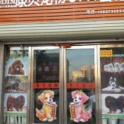 康贝宠物spa会馆:新乡市获嘉县