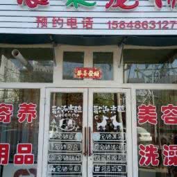 憨果宠物:包头市青山区电视台附近