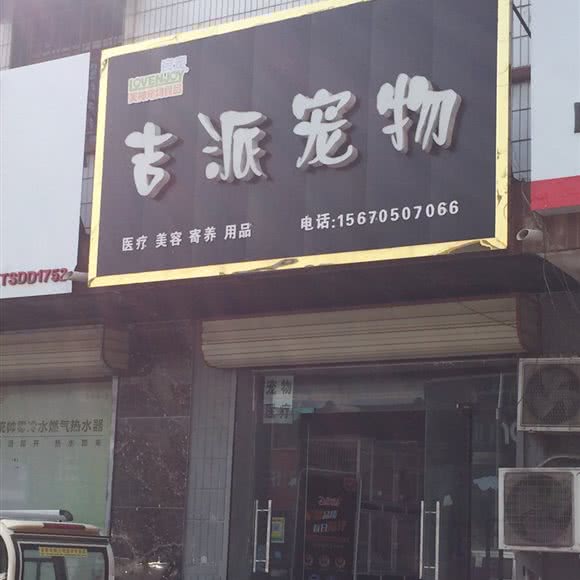 吉派宠物:新乡市延津县