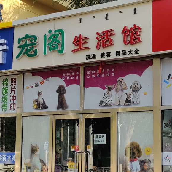 宠阁生活馆:包头市青山区迎宾小区附近
