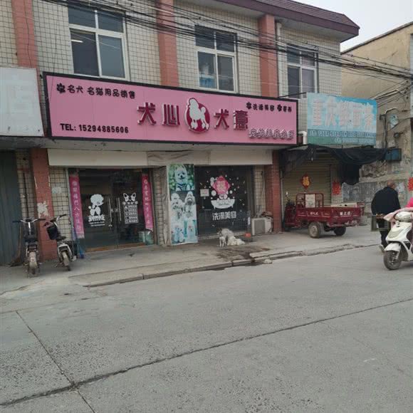 犬心犬意:新乡市卫辉市