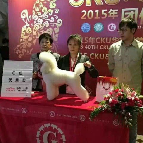 赛拉宠物医院:焦作市山阳区