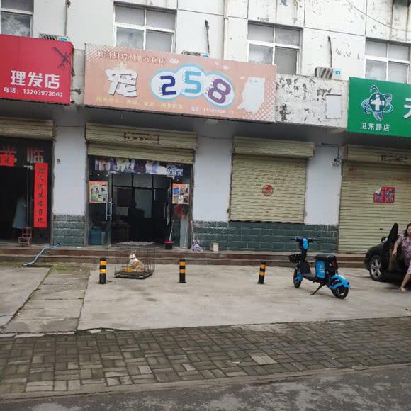 修武县爱力加宠物店 宠258:焦作市修武县