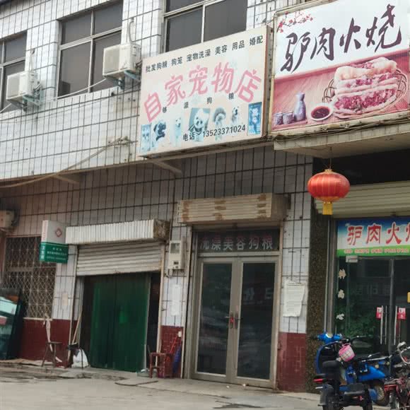 自家宠物店:焦作市修武县