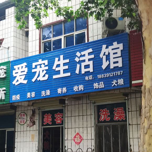 爱宠生活馆:焦作市修武县