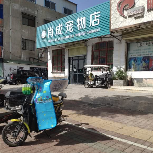 肖成宠物店:焦作市修武县