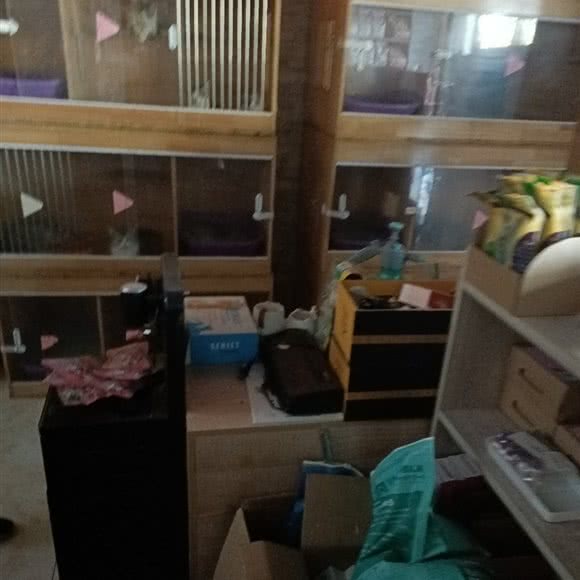 阿玛尼高端SPA宠物生活馆:焦作市博爱县