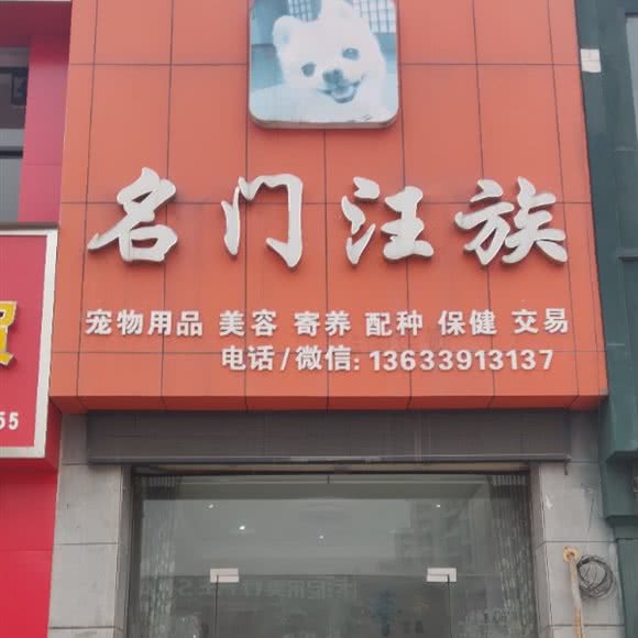 名门汪族宠物用品·美容:焦作市博爱县