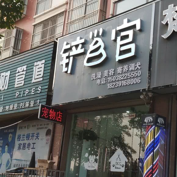 铲屎官:焦作市武陟县