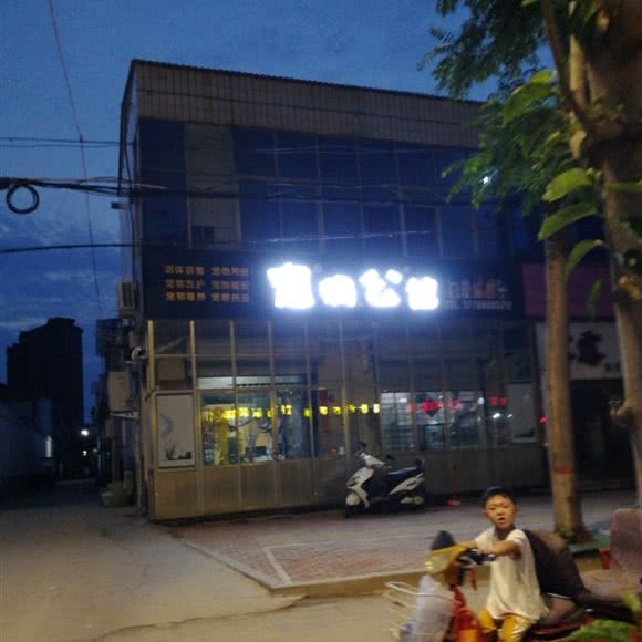 宠物公馆:焦作市温县