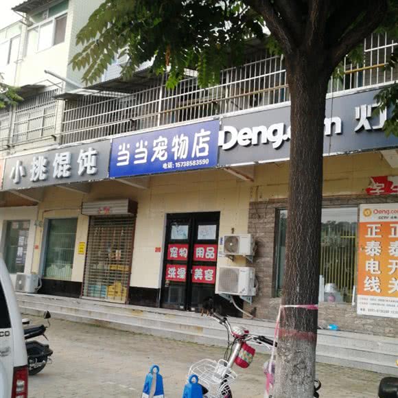当当宠物店:焦作市温县