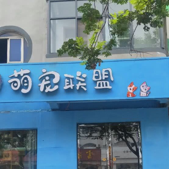 萌宠联盟:焦作市温县