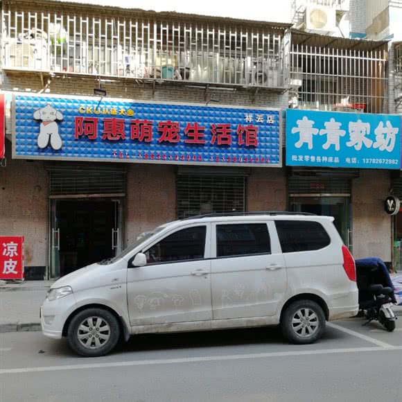 阿惠萌宠生活馆(祥云店):焦作市温县